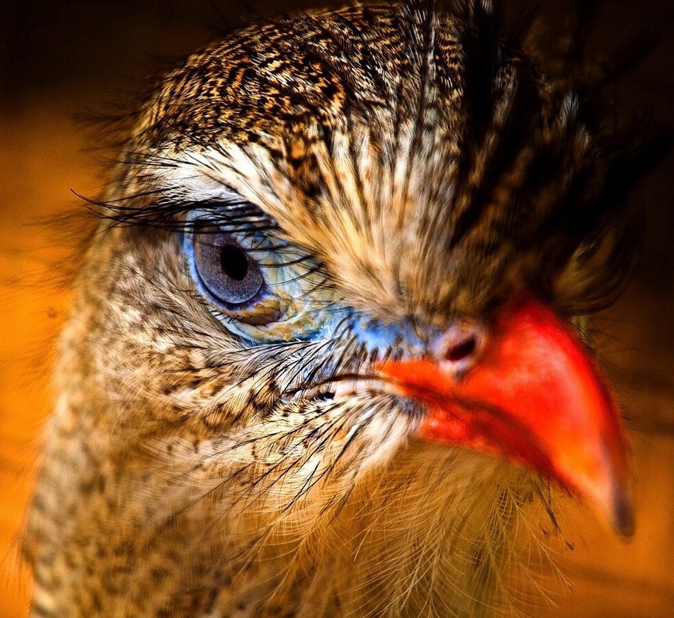 I have my eye on you